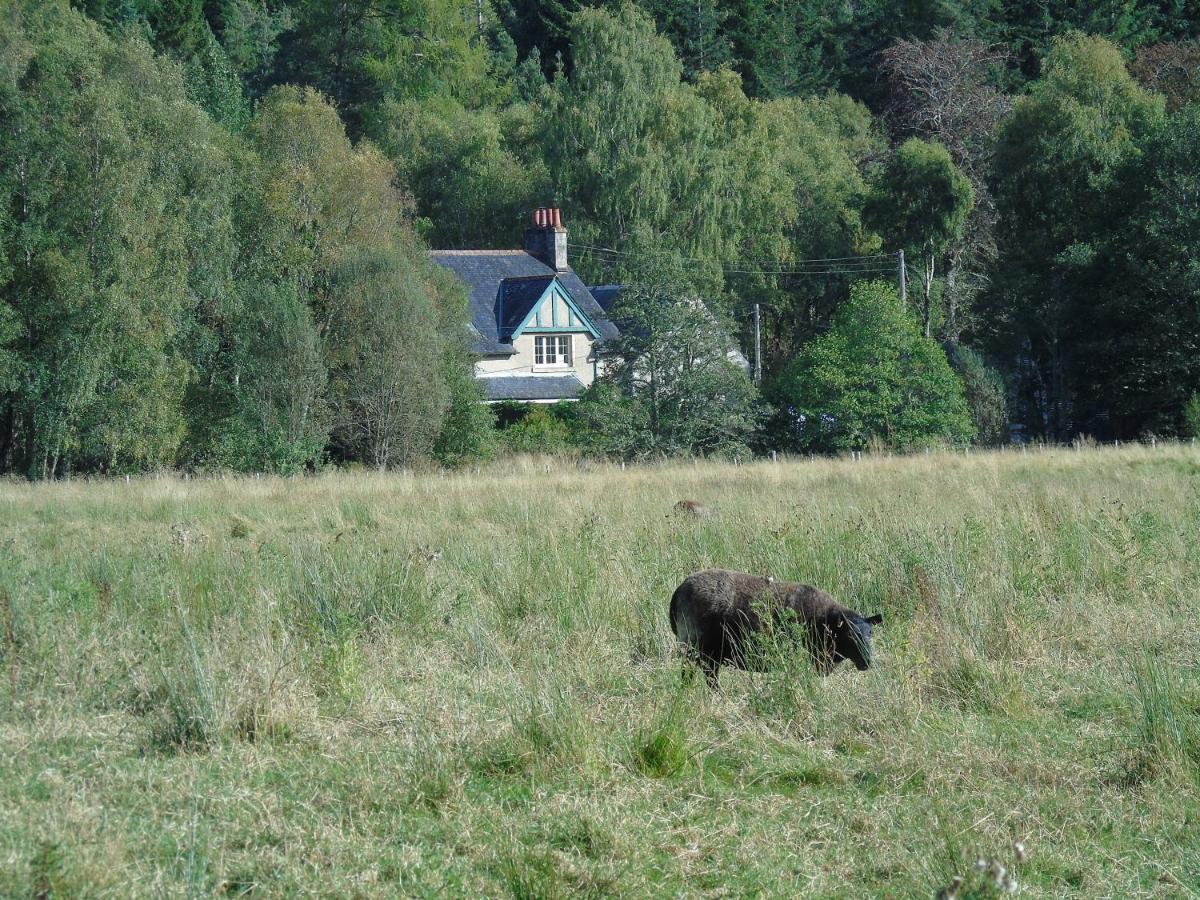 Thistle Cottage, Crannachcottages